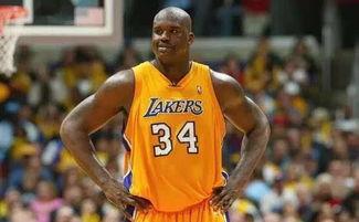 帕特里斯·奥尼尔：房中大象,奥尼尔如何描绘家庭隐秘冲突的隐喻艺术